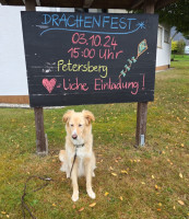 /album/oberbreidenbach-2024/drachenfest-auf-dem-petersberg-8-jpg/